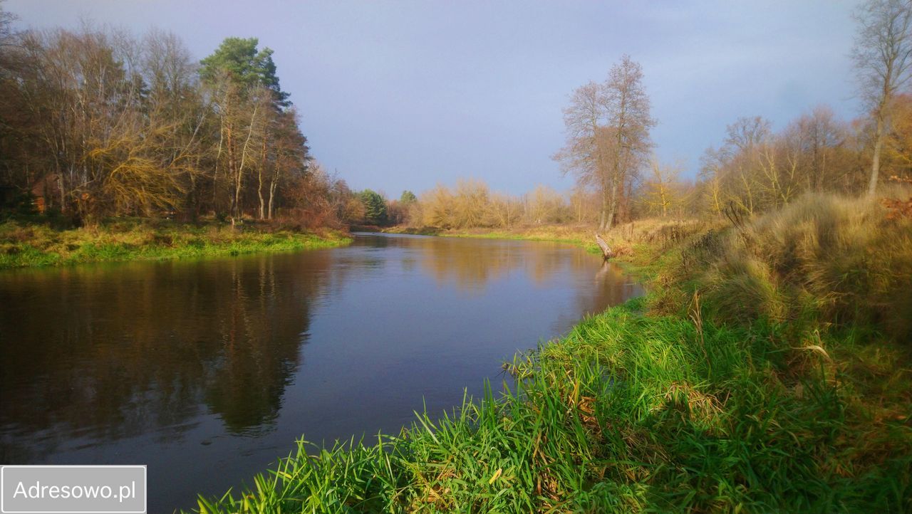 Działka budowlana Popielżyn-Zawady. Zdjęcie 12