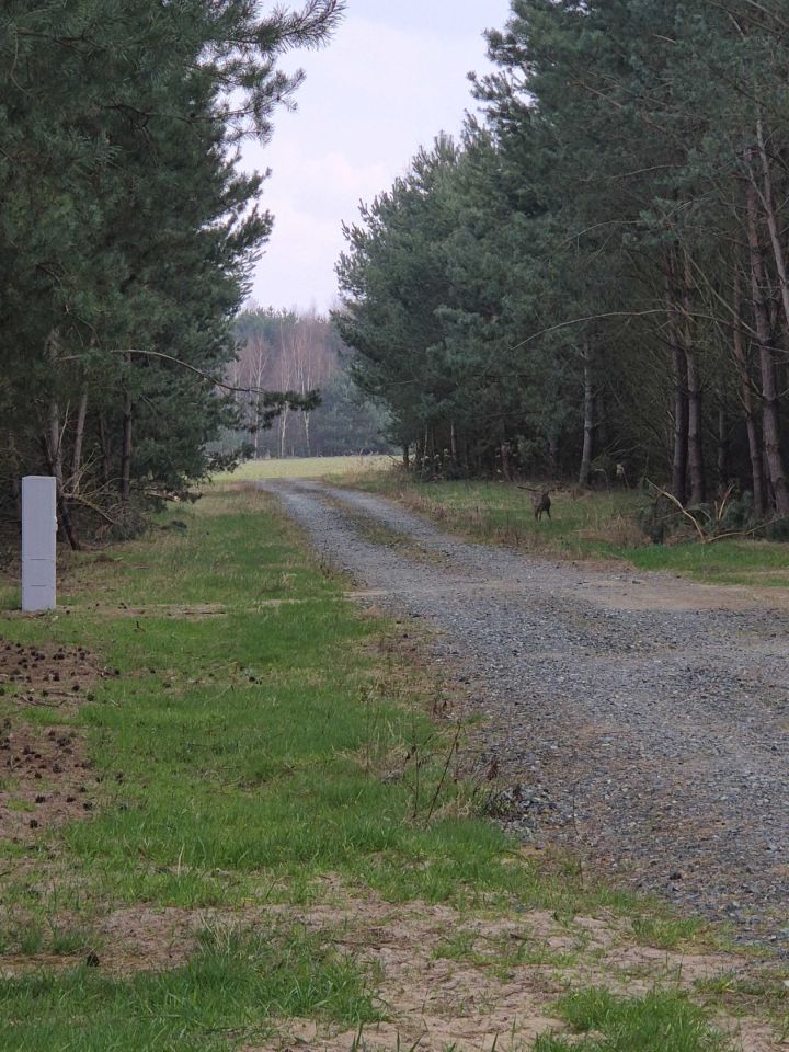 Działka budowlana Jaźwiny. Zdjęcie 2