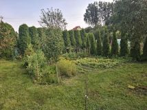 Działka rod Mrągowo. Zdjęcie 2