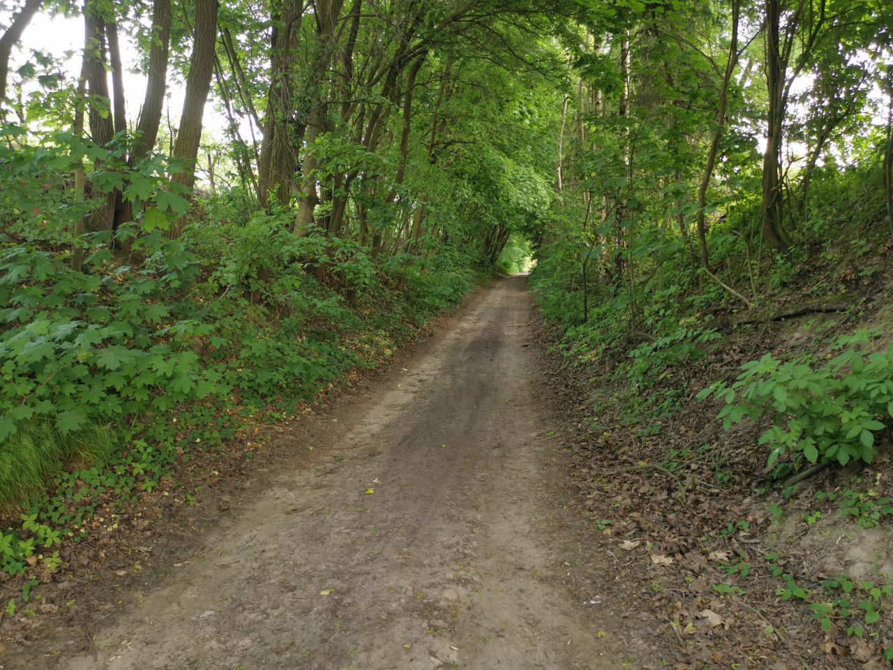 Działka budowlana Kazimierz Dolny Jeziorszczyzna, Jeziorszczyzna. Zdjęcie 13