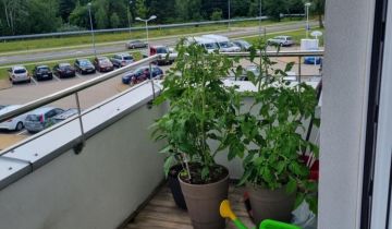 Mieszkanie 2-pokojowe Białystok Wygoda, ul. 42 Pułku Piechoty