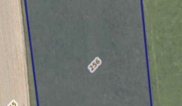 Działka rolna Wojciechowice