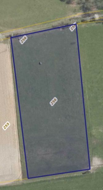 Działka rolna Wojciechowice. Zdjęcie 2