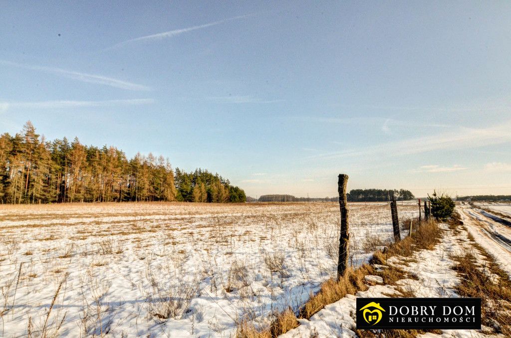 Działka budowlana Serski Las. Zdjęcie 8