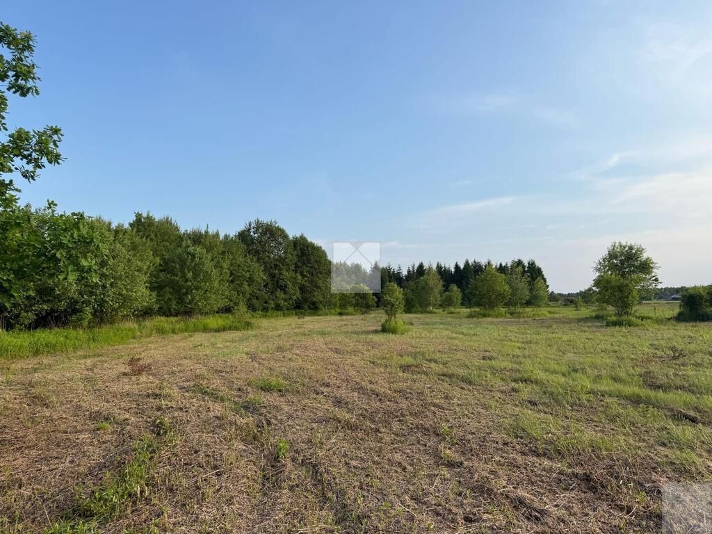 Działka rekreacyjna Radawa, ul. Cienkie