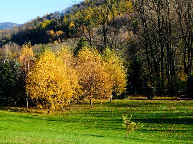 Działka budowlana Bielsko-Biała Olszówka Górna. Zdjęcie 1
