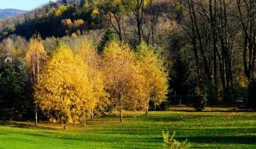 Działka budowlana Bielsko-Biała Olszówka Górna