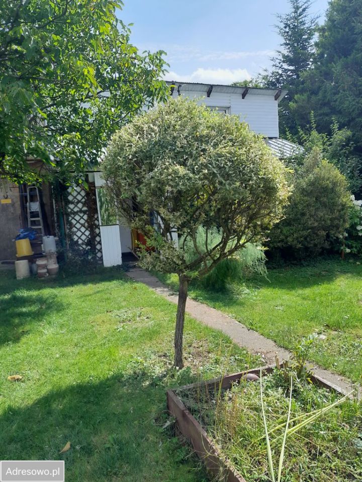 Działka rod Warszawa Mokotów, ul. Dłutowska. Zdjęcie 10