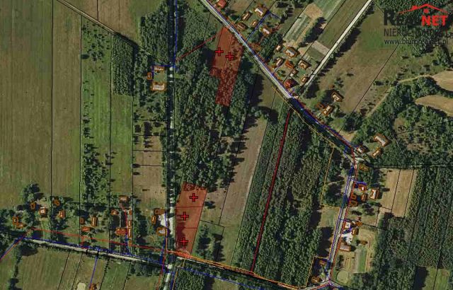 Działka rolno-budowlana Rzegocin. Zdjęcie 4