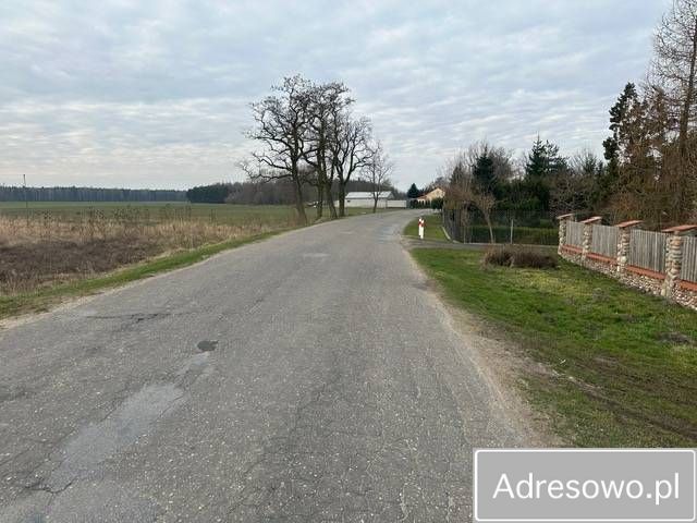 Działka rolna Osiek. Zdjęcie 5