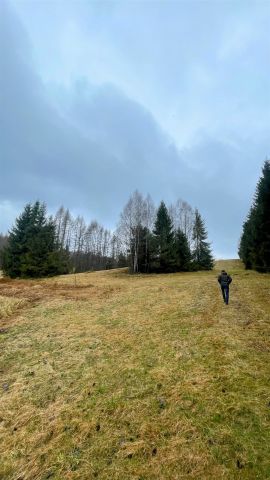 Działka rolna Tylicz. Zdjęcie 2