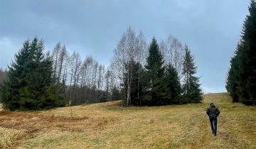 Działka rolna Tylicz