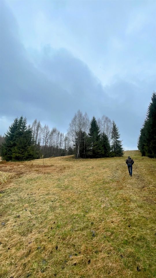 Działka rolna Tylicz. Zdjęcie 2