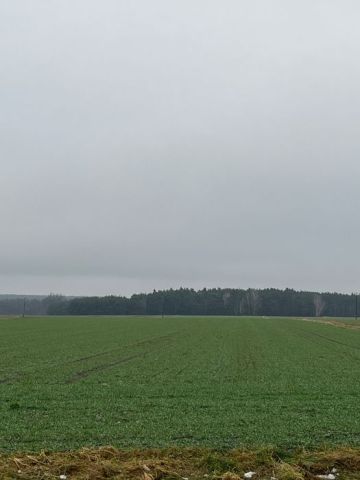 Działka rolna Grabina Wielka. Zdjęcie 1