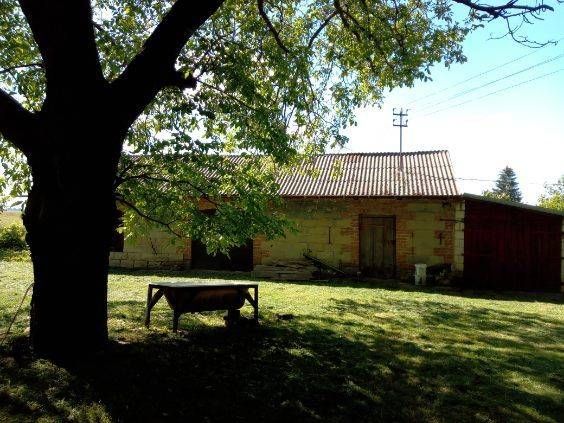 Działka siedliskowa Żabcze. Zdjęcie 4