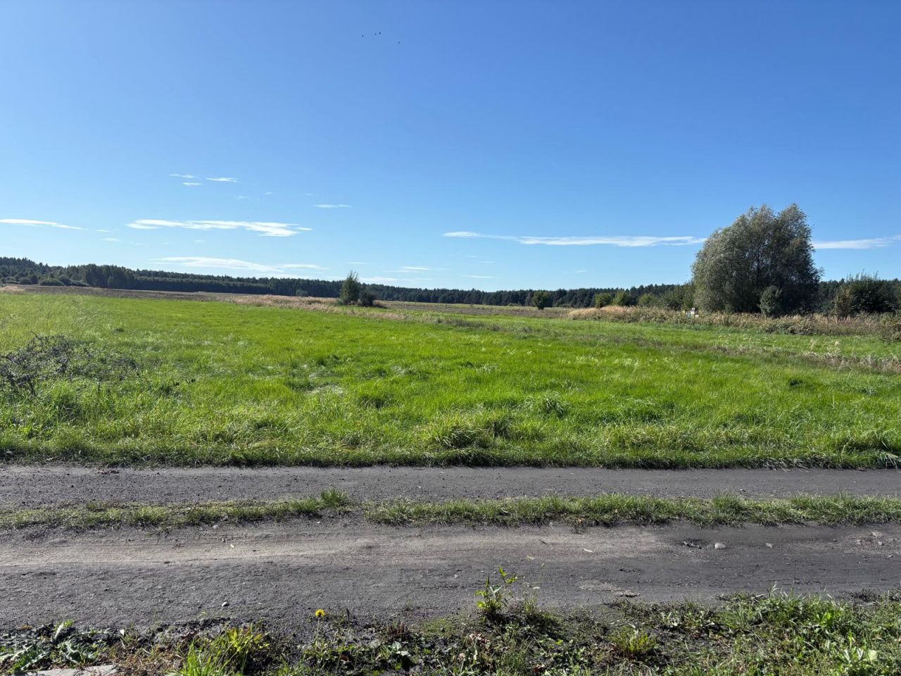 Działka budowlana Miłogostowice. Zdjęcie 2