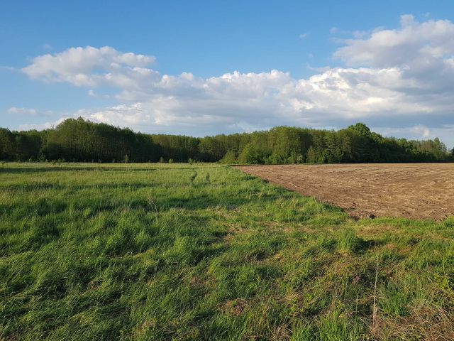 Działka budowlana Rajki. Zdjęcie 1