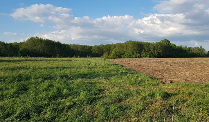 Działka budowlana Rajki