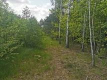 Działka Wodzierady. Zdjęcie 2