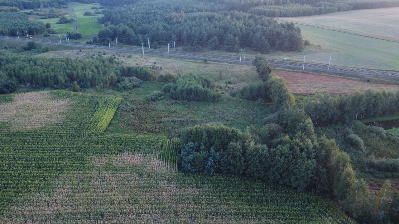 Działka rolna Żabiny. Zdjęcie 5