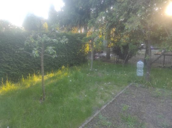 Działka rod Pobiedziska. Zdjęcie 2