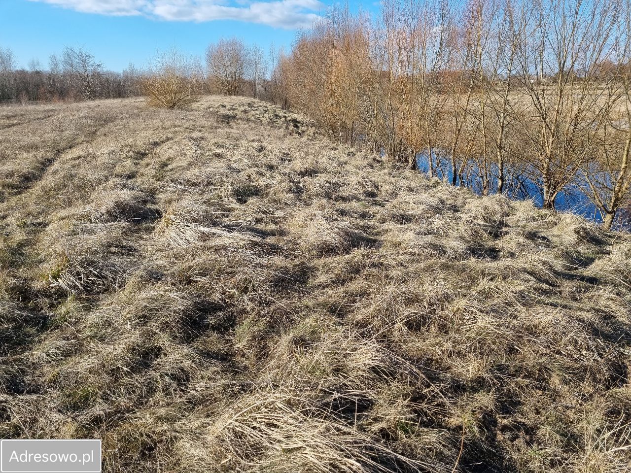 Działka Bilno. Zdjęcie 4