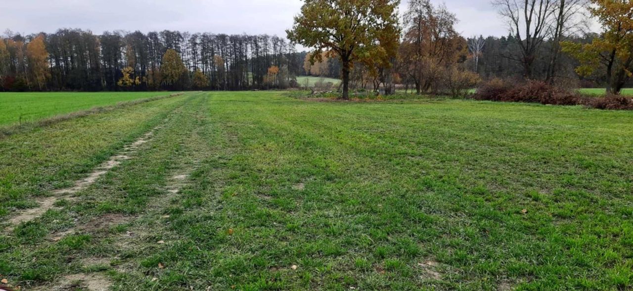 Działka rekreacyjna Jurzyn. Zdjęcie 2