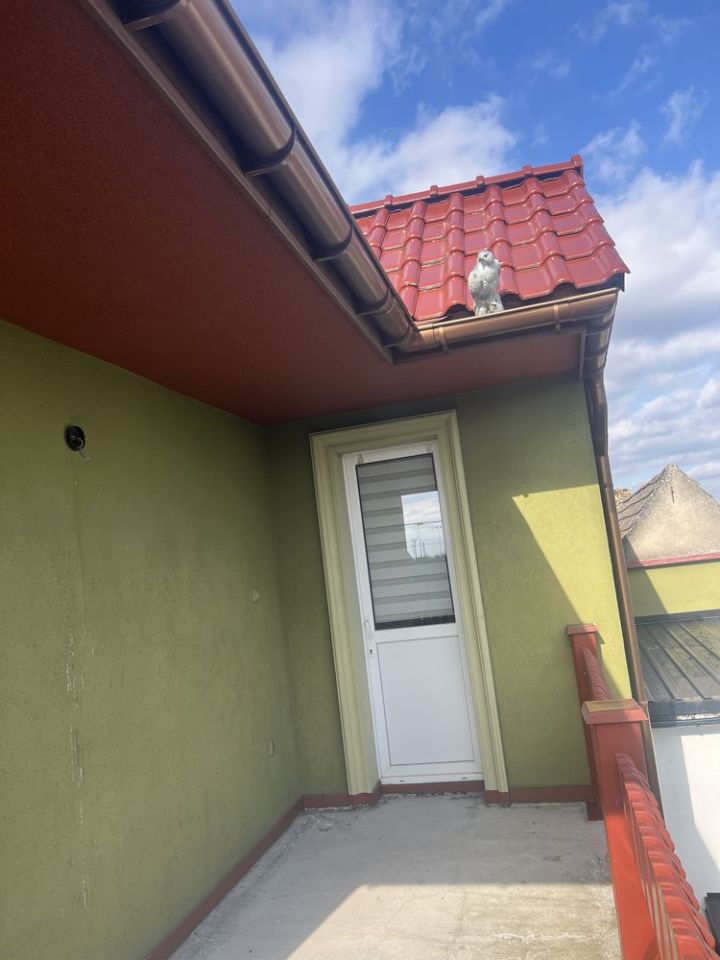 dom szeregowy Przytoczna. Zdjęcie 3