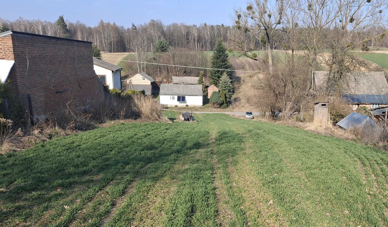 Działka rolno-budowlana Karpiówka. Zdjęcie 3