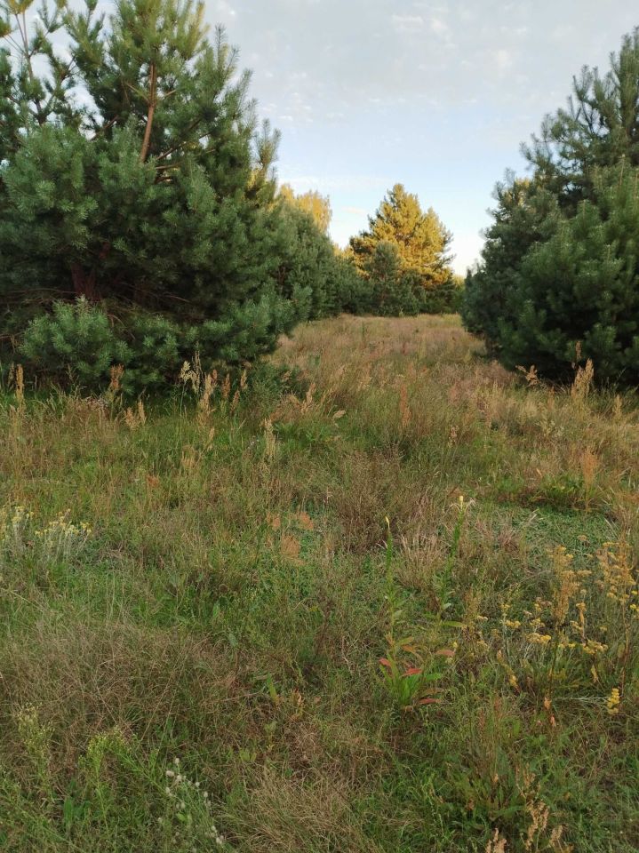 Działka Obłudzin. Zdjęcie 3