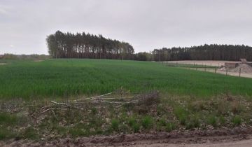 Działka rolna Potrzanowo