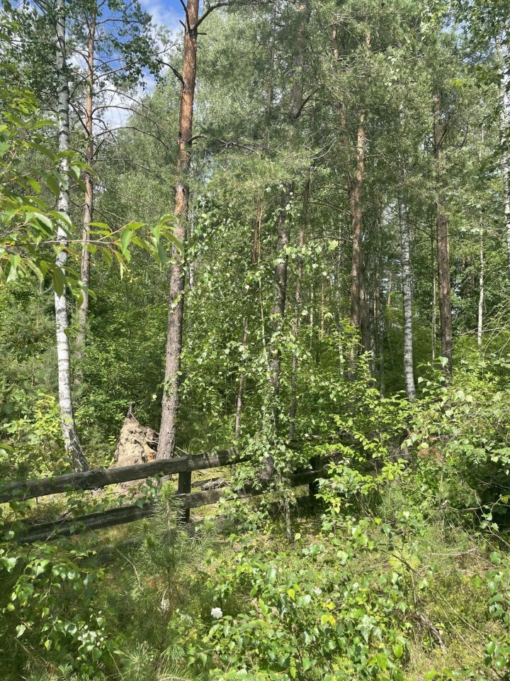 Działka rekreacyjna Faryny, ul. Dębowa. Zdjęcie 6