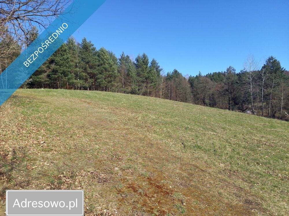 Działka budowlana Sanok Olchowce. Zdjęcie 11