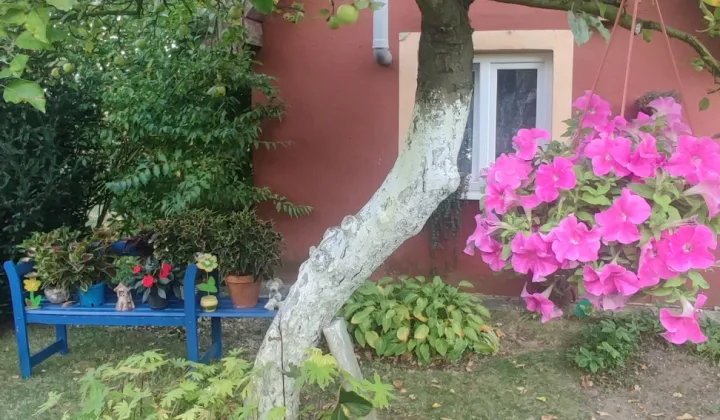 Działka rod Szczecin Bukowo, ul. Władysława Nehringa