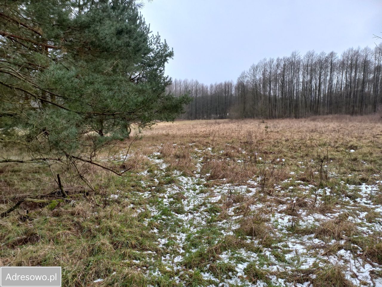 Działka budowlana Laskowo. Zdjęcie 4