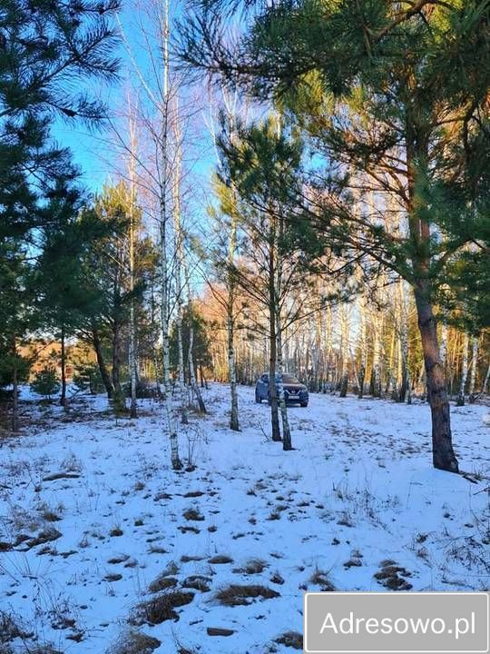 Działka budowlana Plewki. Zdjęcie 3