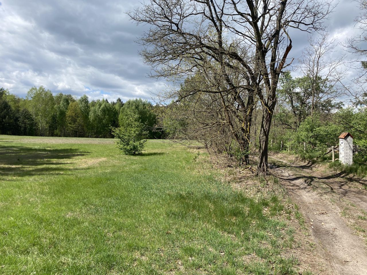 Działka siedliskowa Radziwiłka. Zdjęcie 8