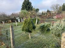 Działka rod Szczecin Centrum, ul. Tenisowa. Zdjęcie 2