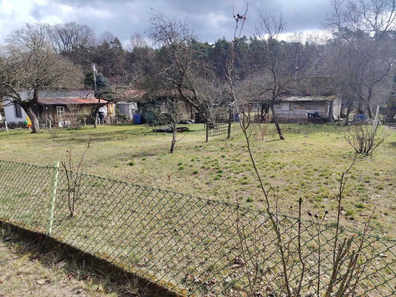 Działka rod Zielona Góra Centrum. Zdjęcie 4