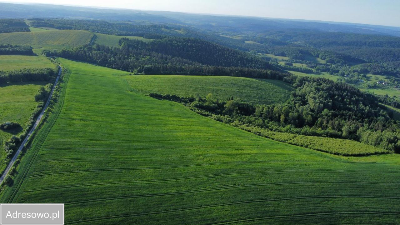 Działka rolna Leszczawa Górna. Zdjęcie 9