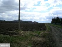 Działka rolna Święcko. Zdjęcie 1