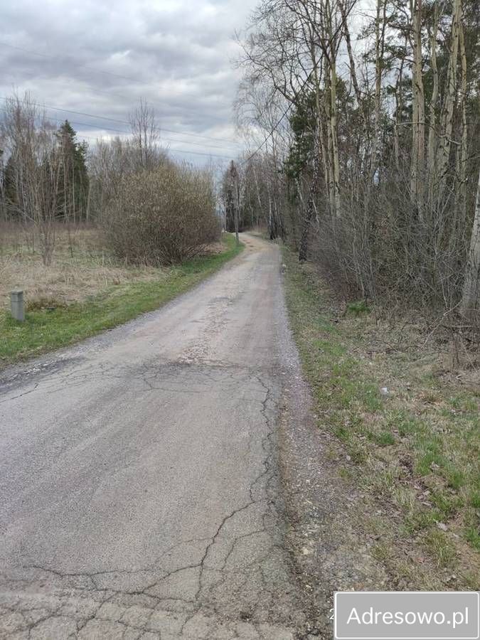 Działka leśna Dąbrowa Górnicza. Zdjęcie 10