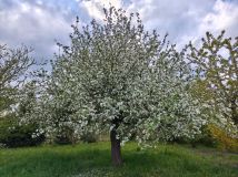 dom wolnostojący Jastków. Zdjęcie 3