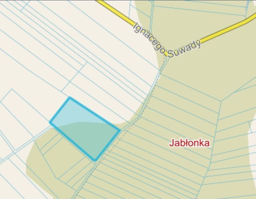 Działka rolna Jabłonka. Zdjęcie 3