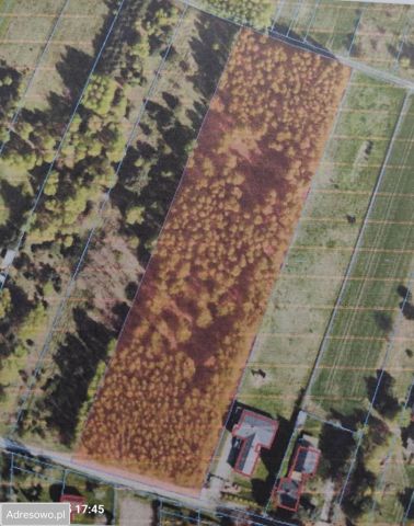 Działka rolno-budowlana Wola Zaradzyńska, ul. Chmielna. Zdjęcie 1