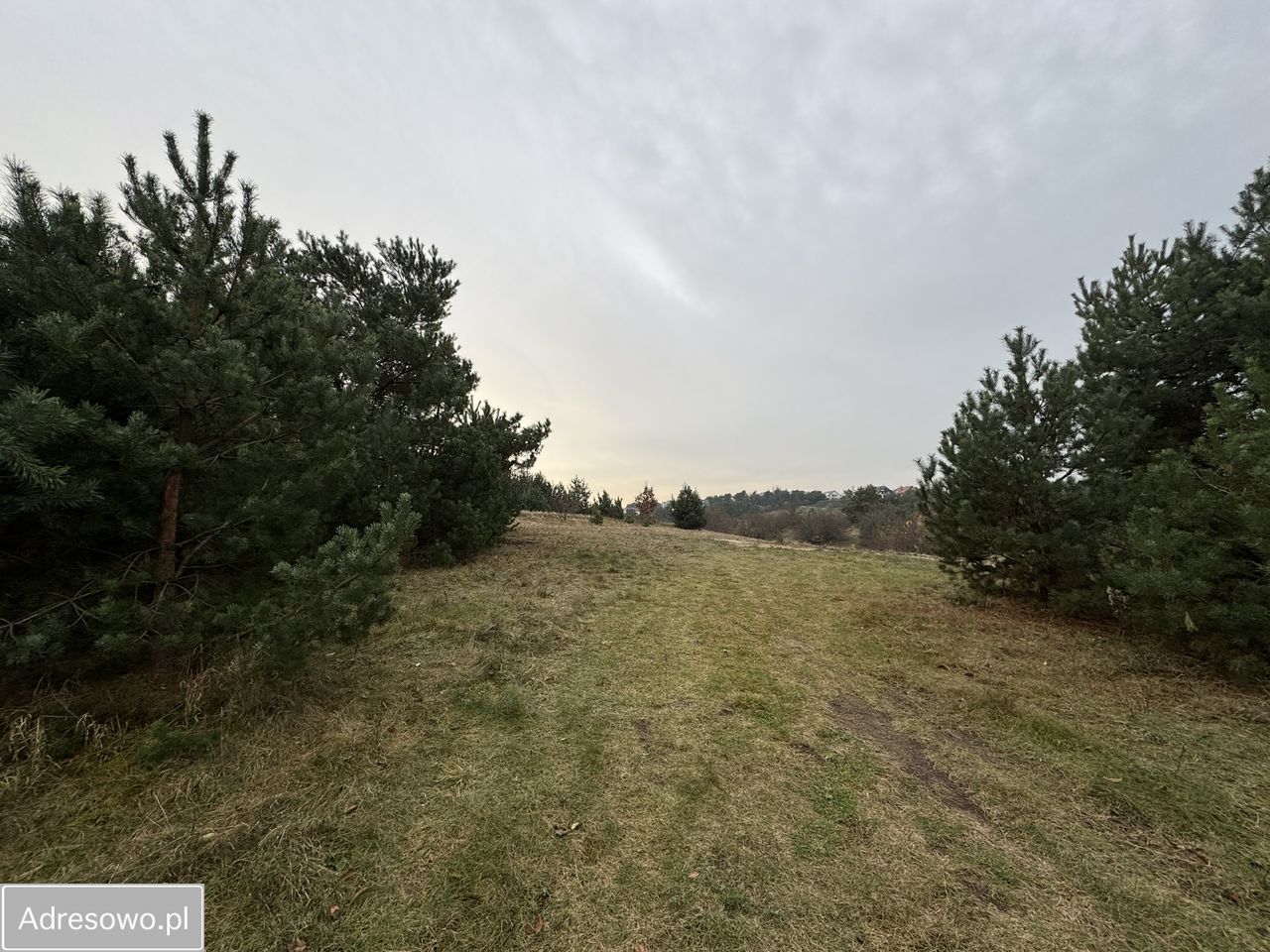 Działka rolno-budowlana Mechelinki. Zdjęcie 16