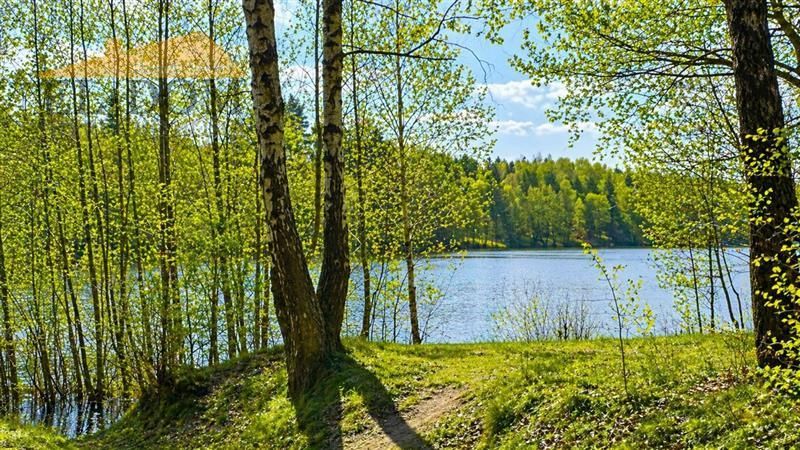 Działka budowlana Gowino, ul. Wesoła. Zdjęcie 14