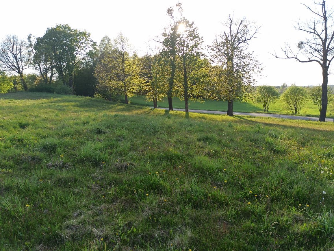 Działka rolno-budowlana Jurki. Zdjęcie 5