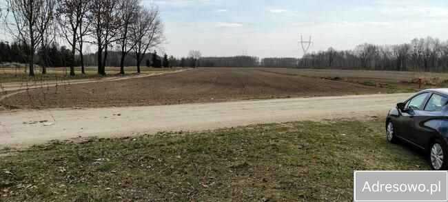 Działka budowlana Orły-Cesin. Zdjęcie 15