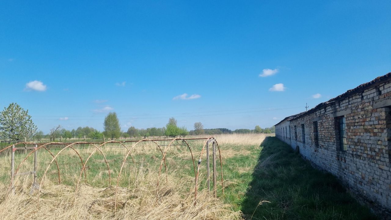 Działka rolna Marianowo, ul. Rolna